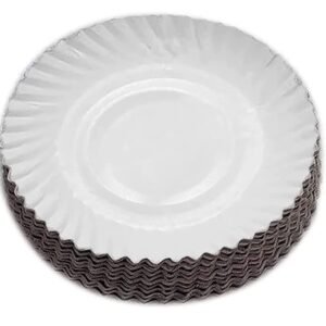 1 White Paper Plates