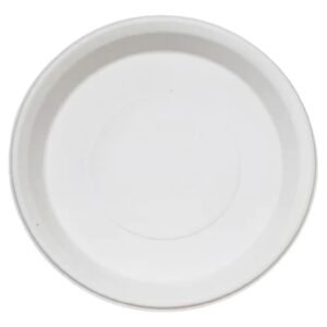11 Inch Bagasse Plate - Plain