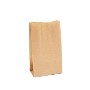12 X 10 Inch Box Paper Bag - Brown