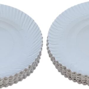 2 White Paper Plates