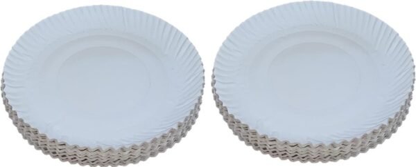 2 White Paper Plates