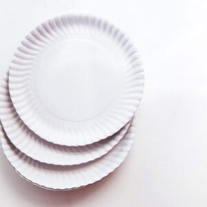 3 White Paper Plates