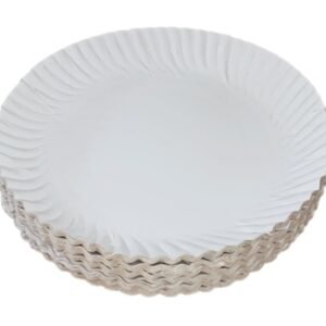 4 White Paper Plates