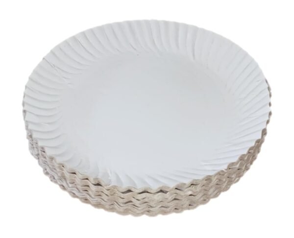 4 White Paper Plates