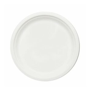 9 Inch Bagasse Plate - Plain