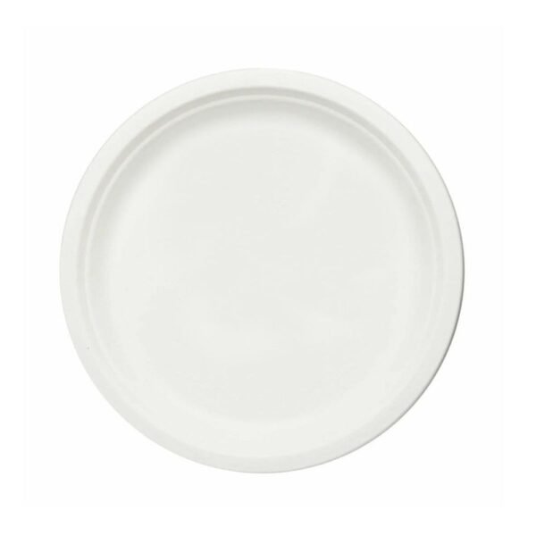 9 Inch Bagasse Plate - Plain