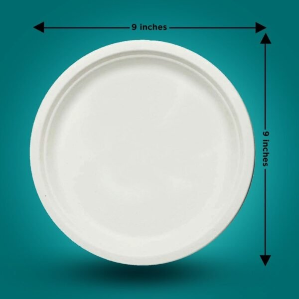 9 Inch Bagasse Plate - Plain